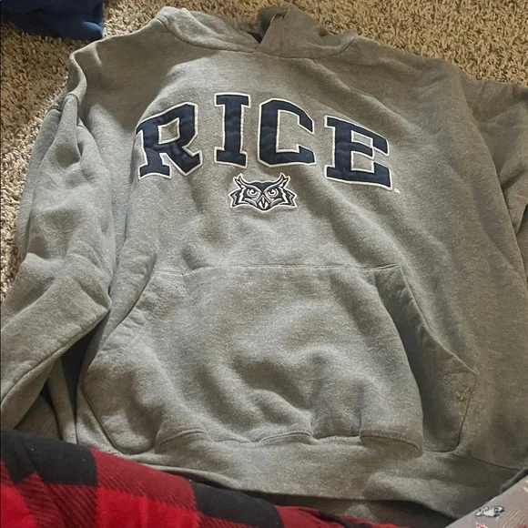 Gray RICE Hoodie - Picture 1 of 4